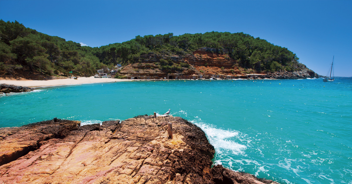 cala salada playa de ibiza