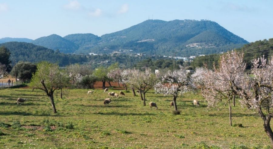 Sa Serra Grossa en BTT