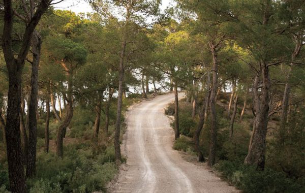 Rutas senderistas en Ibiza para principiantes