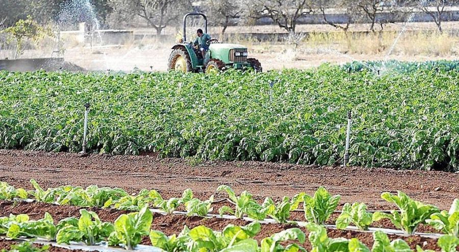 Organic farming