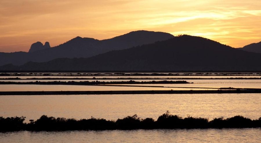 Ses Salines Natural Park