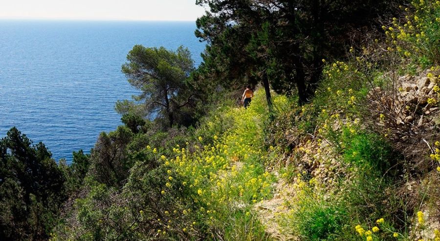 Caminando a Cala Llentrisca