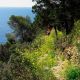 Walking to Cala Llentrisca