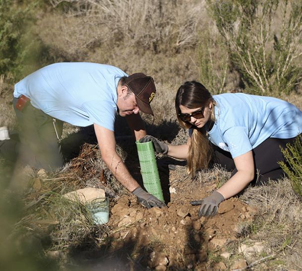 Forest regeneration as a natural solution for wildfire prevention in the Balearic Islands.