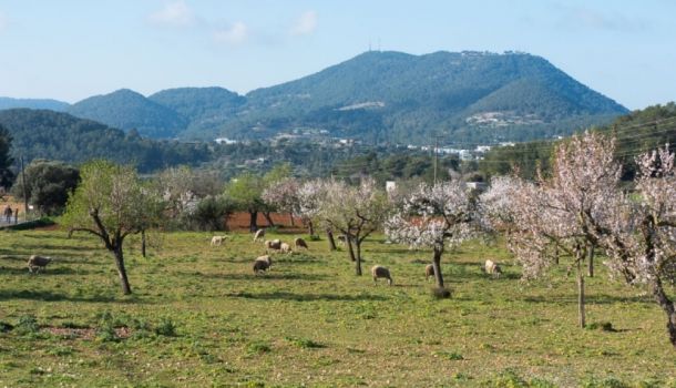 Sa Serra Grossa en BTT