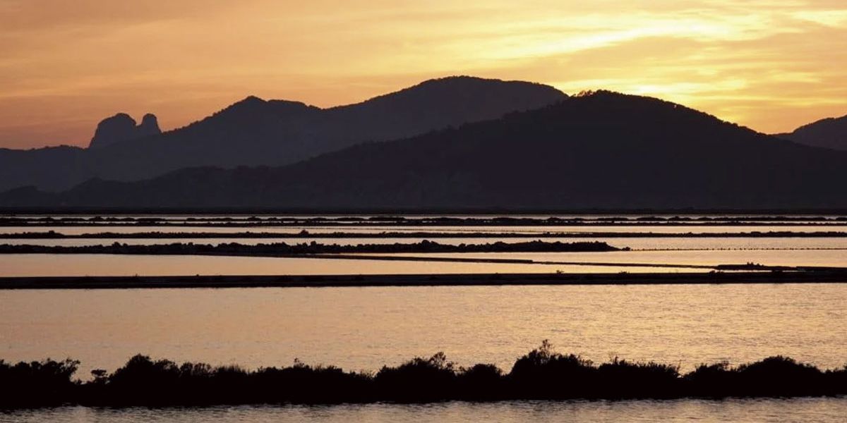 La naturaleza de Ibiza: una joya escondida