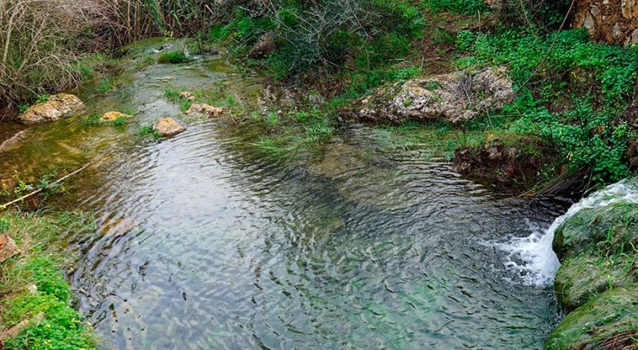 Salt des Rubió