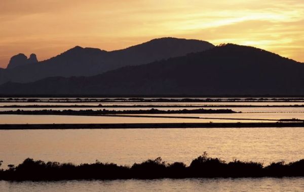 La naturaleza de Ibiza: una joya escondida