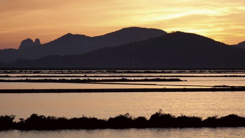 Paraje natural en Ibiza de las salinas