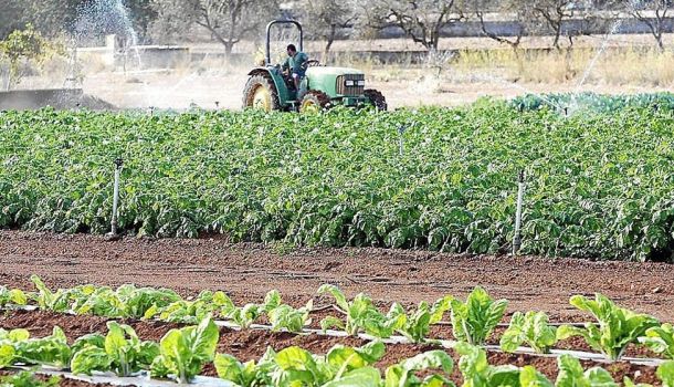 Agricultura ecológica