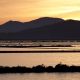 Ses Salines Natural Park